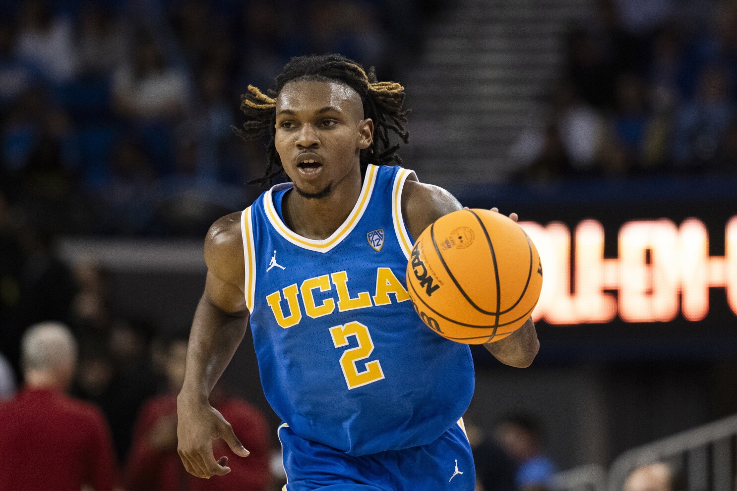 Ucla baske discount